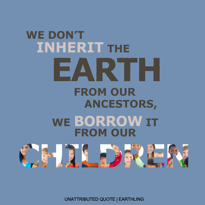 We don't inherit the Earth from our ancestors, we borrow it from our children.